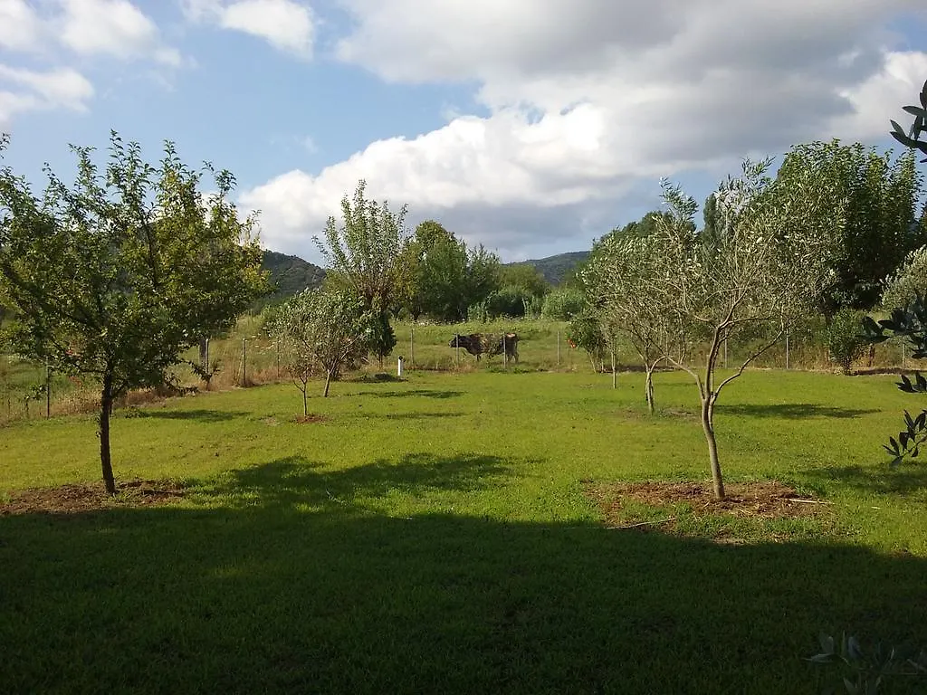 Villa Angela Sykia Chalkidikis Guest house